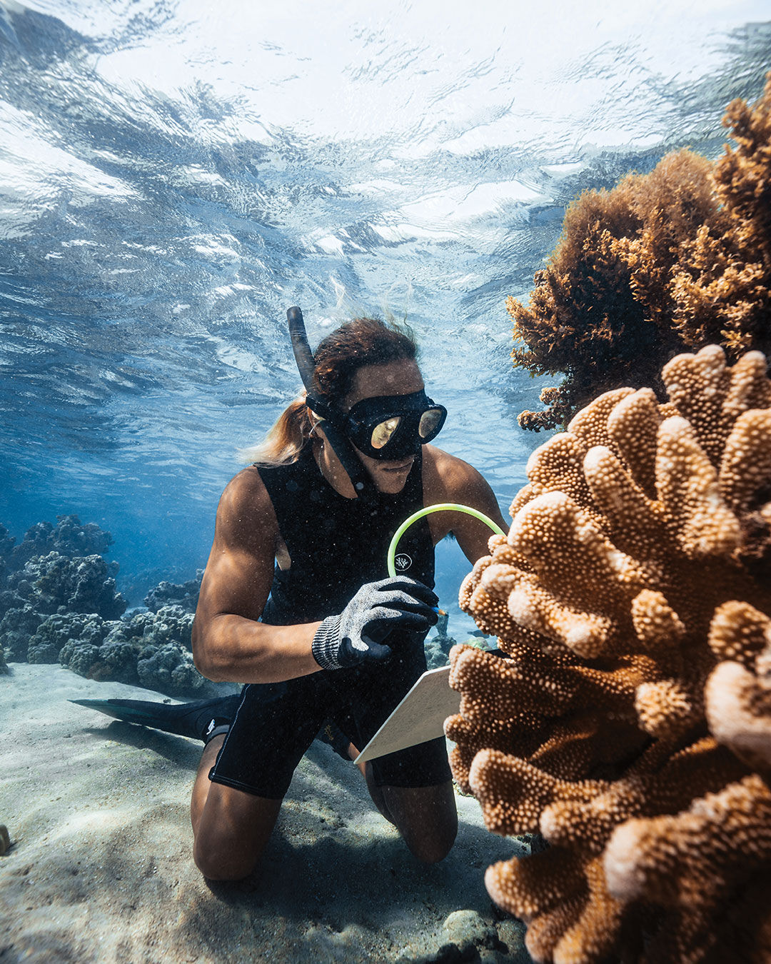 Versace supports Coral Gardeners