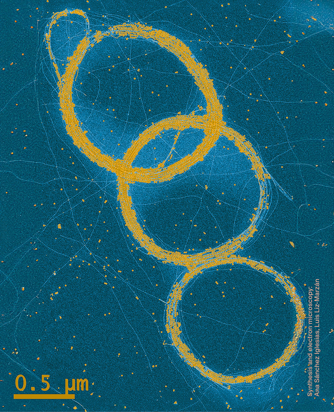 Versace LAB Spring-Summer 2024