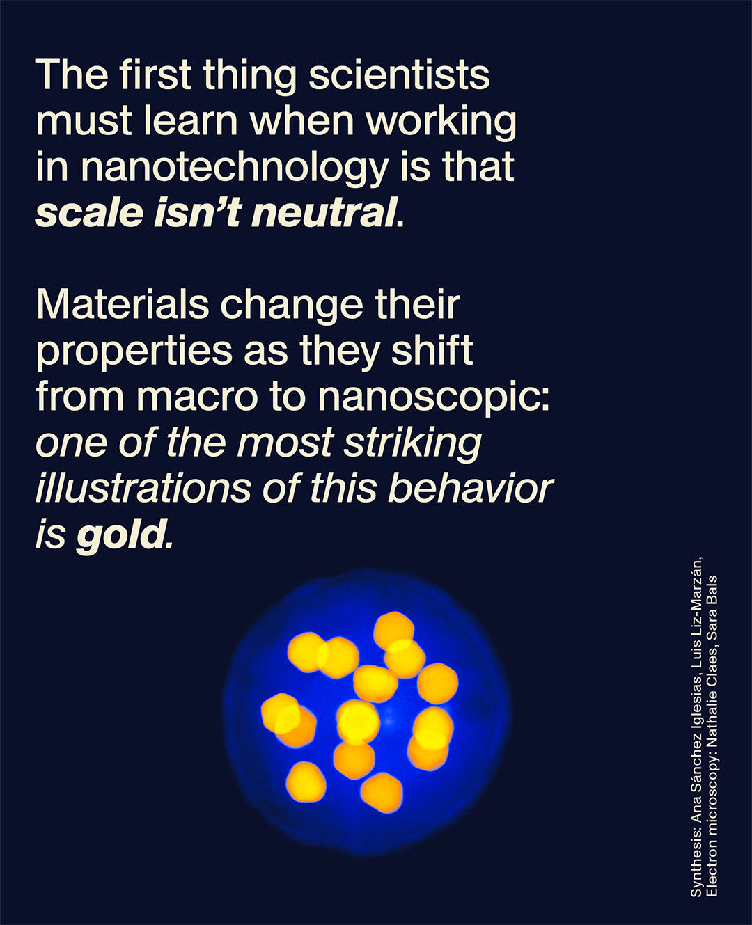 Versace LAB Spring-Summer 2024