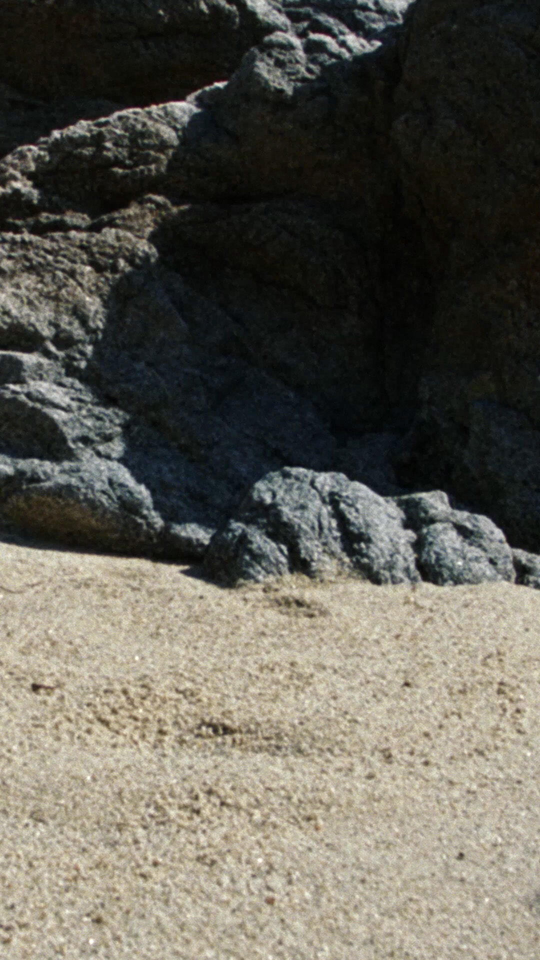 Versace La Vacanza 2022