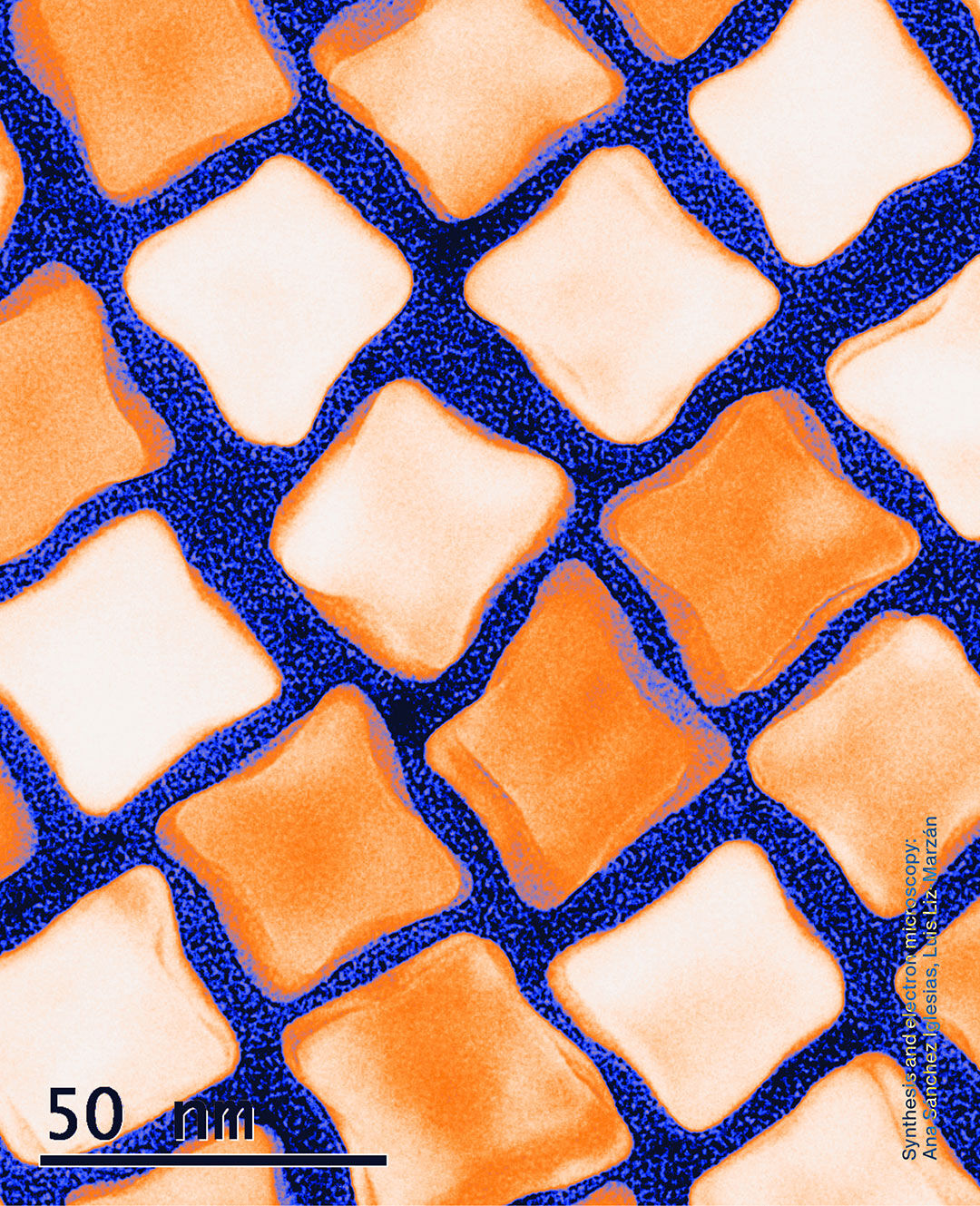 Versace LAB Spring-Summer 2024