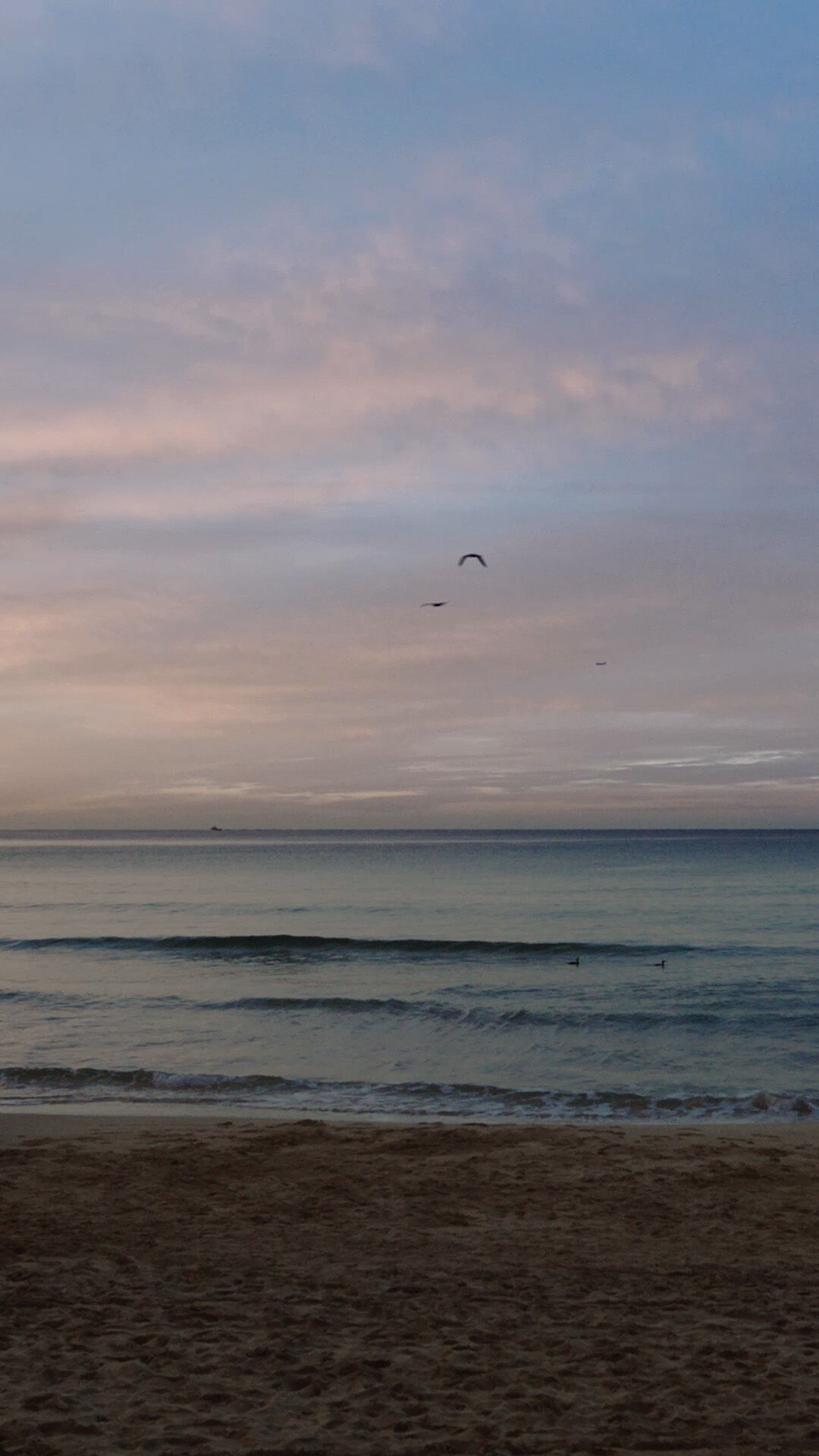 Versace Jeans Couture Spring-Summer 2023