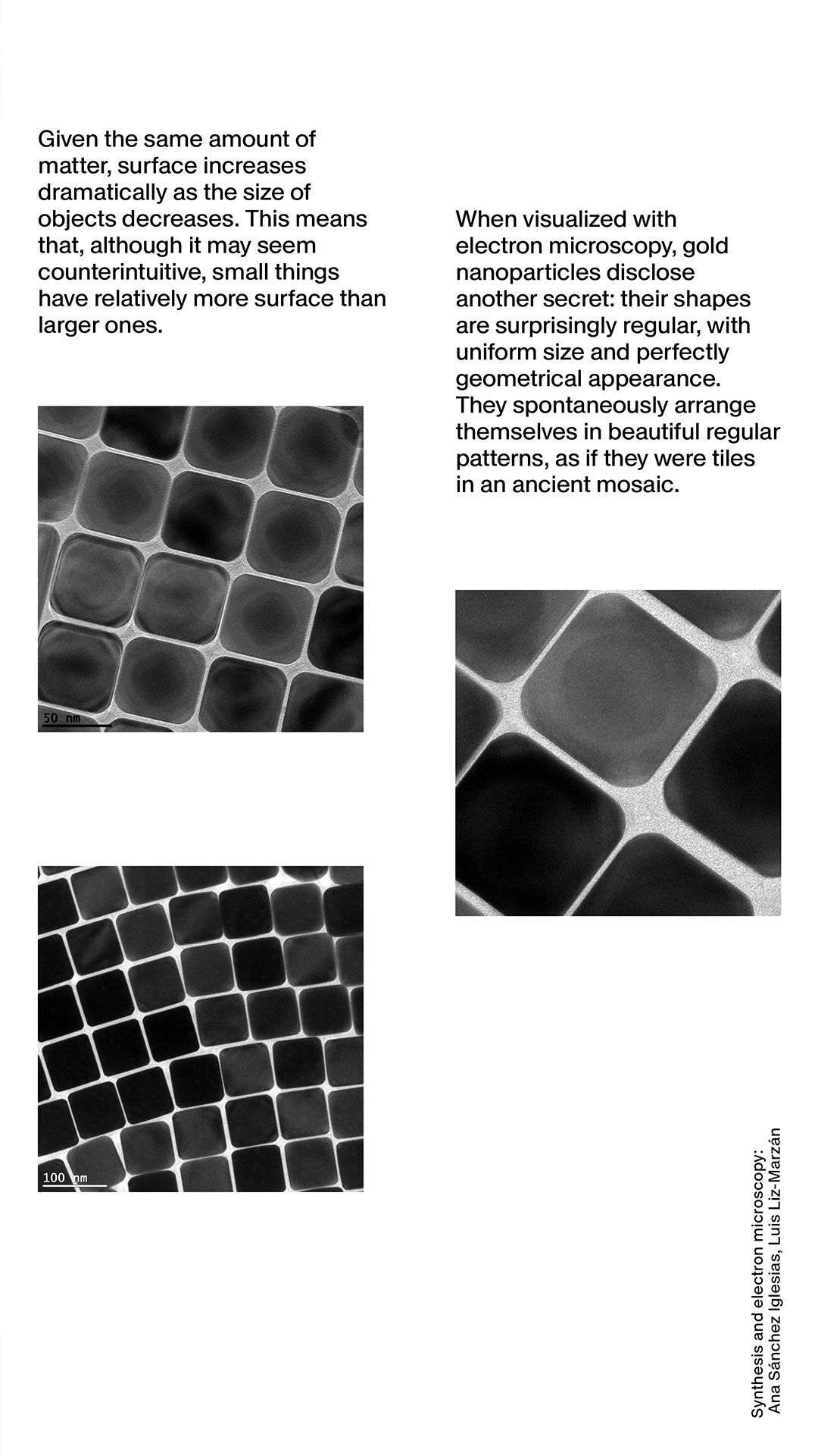 Versace LAB Spring-Summer 2024