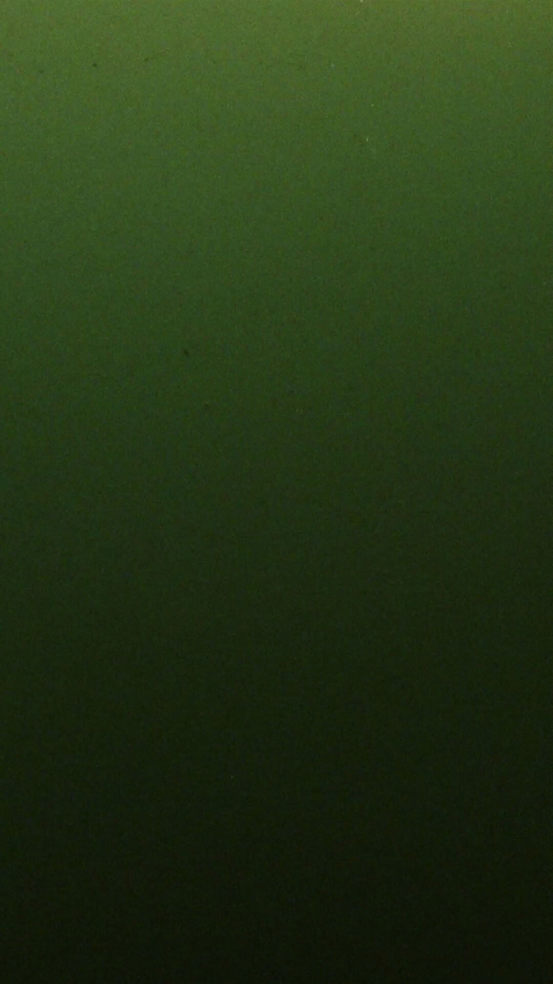 NSS x Versace Jeans Couture